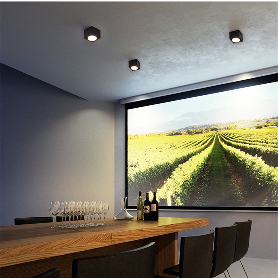 LED Ceiling lamp Surface Mounted Spot led downlight 12w 24w led bulb replaceable 45 Degree Rotation spot light for home lighting