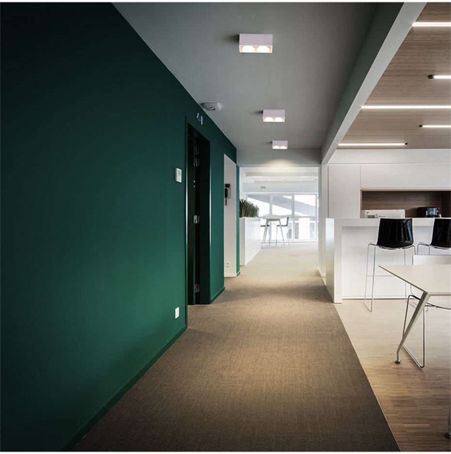 LED Ceiling lamp Surface Mounted Spot led downlight 12w 24w led bulb replaceable 45 Degree Rotation spot light for home lighting