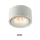 Round led downlight living room corridor aisle light without opening hole Ming mounted ceiling spotlight thin cob ceiling light