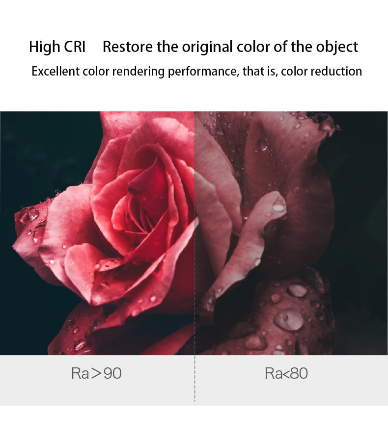 Saiyo Trimless Round COB Led Downlights High End Recessed Ceiling Spot Lights Lamps For Indoor Residential Home