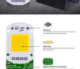 LED chip AC 220V without driver 20W 30W 50W COB LED lamp beads high-power smart IC outdoor DIY lighting downlight floodlight