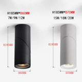 Dimmable Rotating LED Downlights 10W 15W 20W COB LED Ceiling Spot Lights AC110-220V LED Wall Lamp Warm Cold White Indoor Lighting