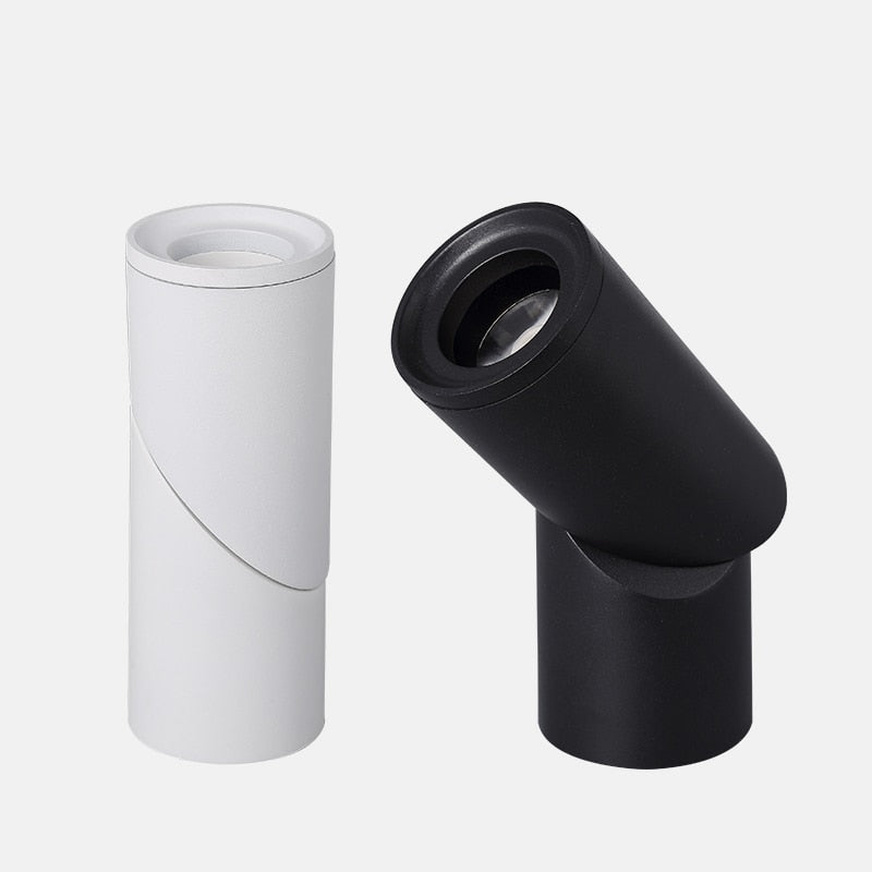 Dimmable Rotating LED Downlights 10W 15W 20W COB LED Ceiling Spot Lights AC110-220V LED Wall Lamp Warm Cold White Indoor Lighting