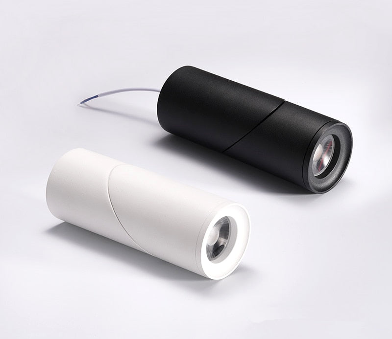 Dimmable Rotating LED Downlights 10W 15W 20W COB LED Ceiling Spot Lights AC110-220V LED Wall Lamp Warm Cold White Indoor Lighting