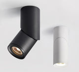 Dimmable Rotating LED Downlights 10W 15W 20W COB LED Ceiling Spot Lights AC110-220V LED Wall Lamp Warm Cold White Indoor Lighting