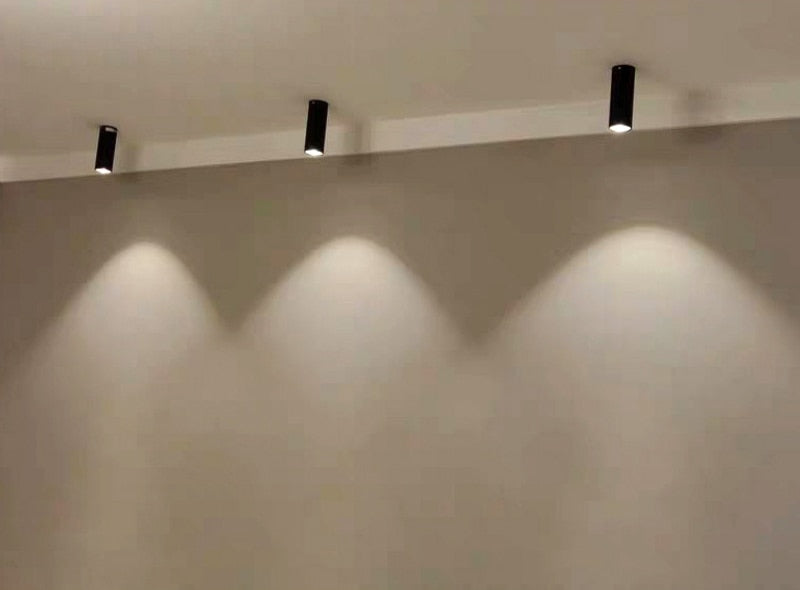 Dimmable Rotating LED Downlights 10W 15W 20W COB LED Ceiling Spot Lights AC110-220V LED Wall Lamp Warm Cold White Indoor Lighting