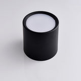 Surface Mounted Ceiling Downlight 5W 10W 15W 20W 85-265V lamp Led downlights Ceiling Spot light +led driver AC85-265V