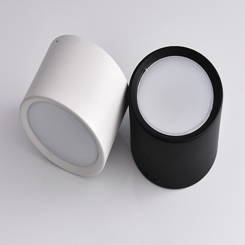 Surface Mounted Ceiling Downlight 5W 10W 15W 20W 85-265V lamp Led downlights Ceiling Spot light +led driver AC85-265V