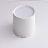 Surface Mounted Ceiling Downlight 5W 10W 15W 20W 85-265V lamp Led downlights Ceiling Spot light +led driver AC85-265V