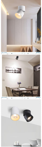 Led Surface Mounted Ceiling Downlight bedroom Adjustable LED Bulb SPOTS DIRIGIBLES Living Room led ceiling spot light fixtures