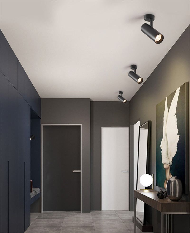 Surface Mounted LED Downlights Foldable 360° Rotatable LED Ceiling Spot lights 12W 20W 30W LED Lamps Background Wall Lighting