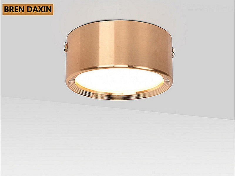 Surface mounted LED downlight spot light 3W 5W 7W 9W 12W ceiling light living room study window background wall lighting