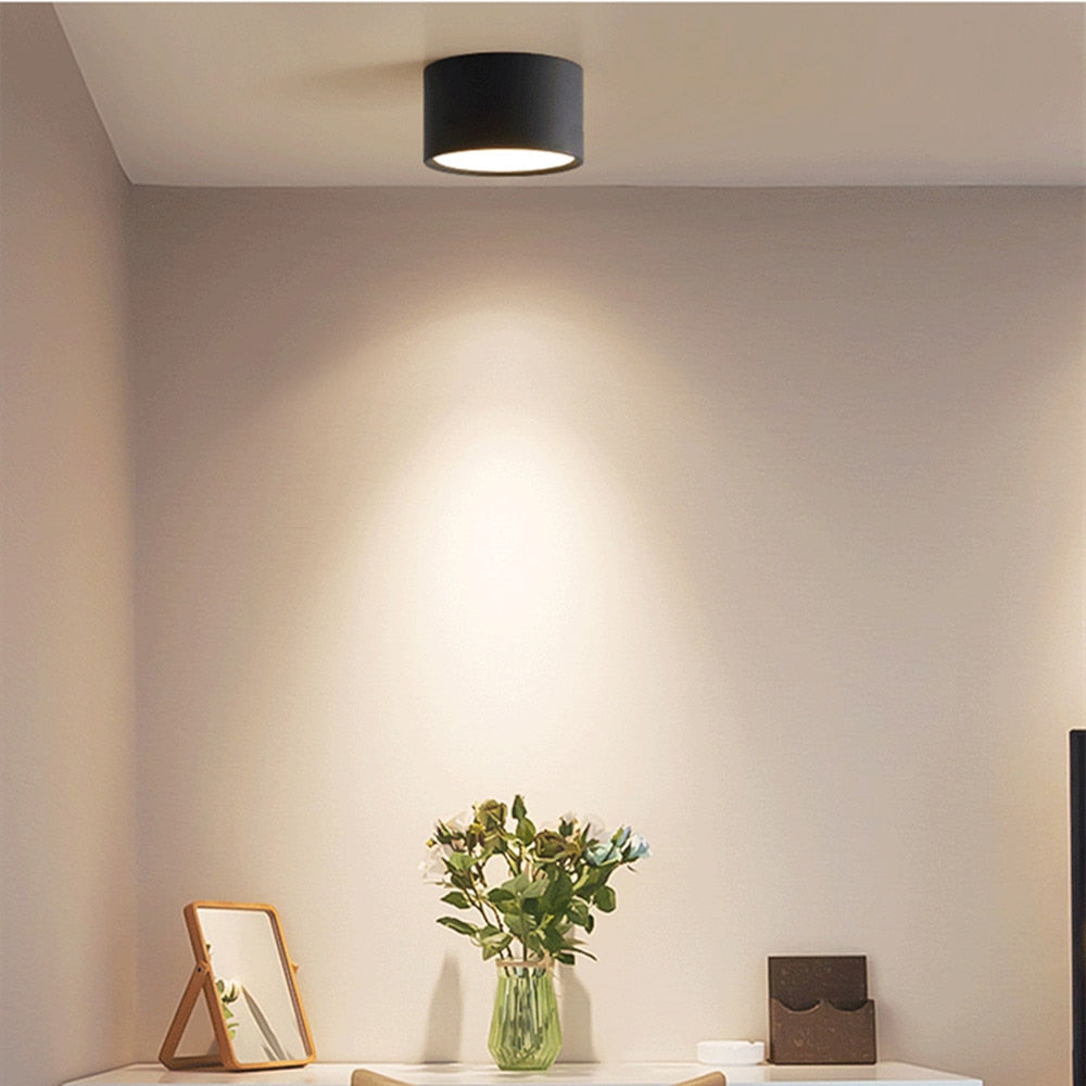 Surface Mounted Led Downlight Dimmable 5W 12W Ceiling LED Spot Lamp Indoor Lighting Fixture For Living Room Foyer Decoration
