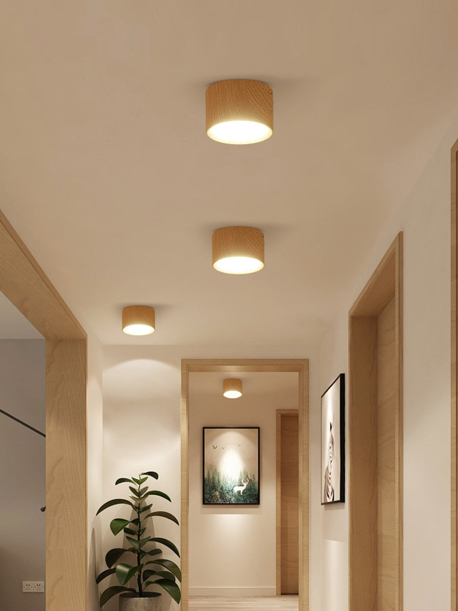 Surface Mounted Led Downlight Dimmable 5W 12W Ceiling LED Spot Lamp Indoor Lighting Fixture For Living Room Foyer Decoration