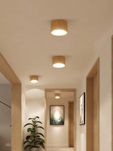 Surface Mounted Led Downlight Dimmable 5W 12W Ceiling LED Spot Lamp Indoor Lighting Fixture For Living Room Foyer Decoration