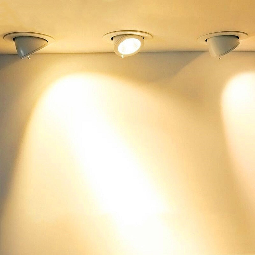 LED Downlight 220V 110V Spot LED downlight Dimmable 7W 10W 12W 15W Recessed in LED Ceiling Downlight Light Cold Warm white Lamp