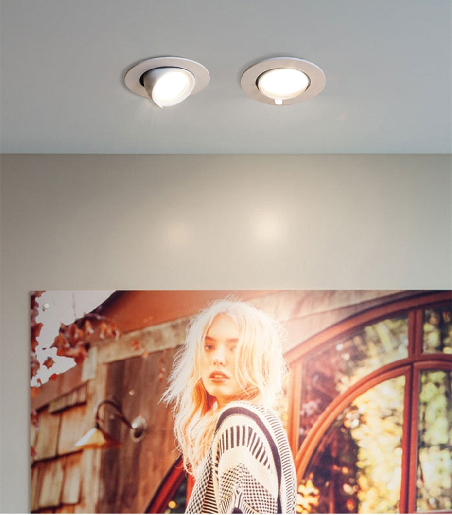 LED Downlight 220V 110V Spot LED downlight Dimmable 7W 10W 12W 15W Recessed in LED Ceiling Downlight Light Cold Warm white Lamp