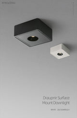 Aisilan Ultra-thin Led Surface Mounted Ceiling Downlight Anti-glare No Flicker Spot light for indoor Foyer Living Room AC90-260V