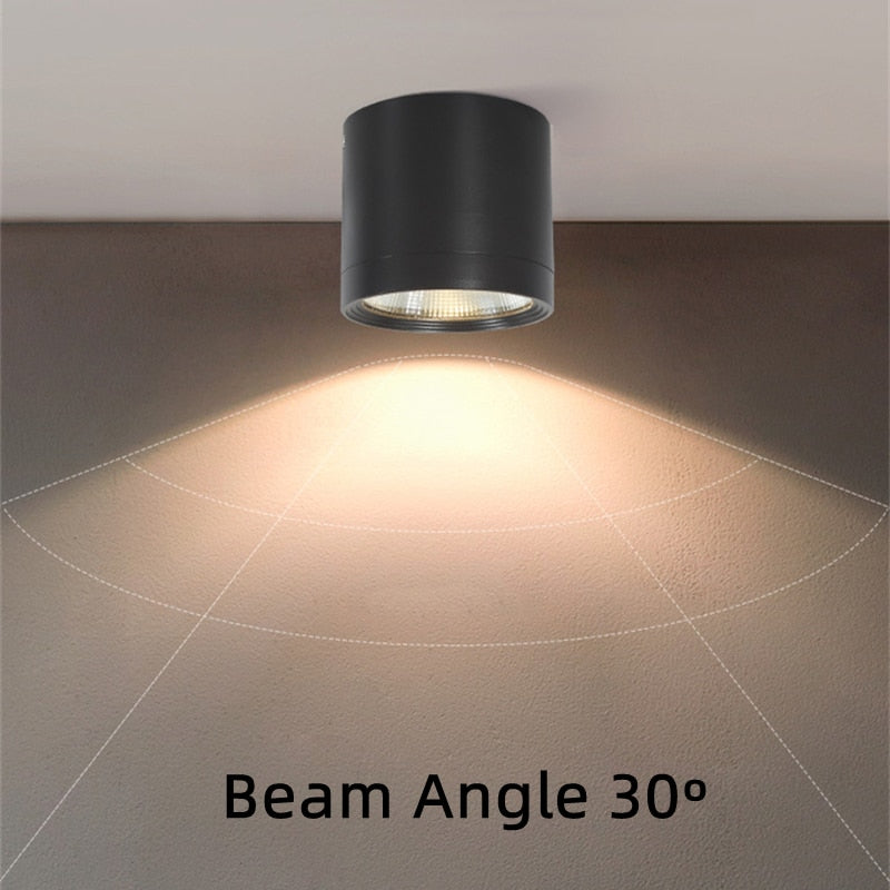 Waterproof IP65 LED Ceiling Downlights Surface Mounted Outdoor Bathroom 7W 12W 18W Toilet Kitchen Cylinder Spot Lighting Fixture