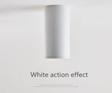 Dimbare Opbouw Plafond Downlights 7W 9W 12W 15W 18W 20W AC85-265V Plafondlamp cob Led Spot Light + Led Driver