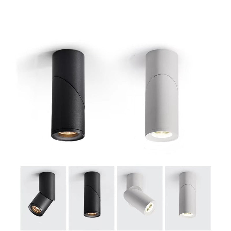 New Dimmable Rotating LED Downlights 10W 15W 20W COB LEDCeiling Spot Lights AC110-220V Warm Cold White Indoor Lighting