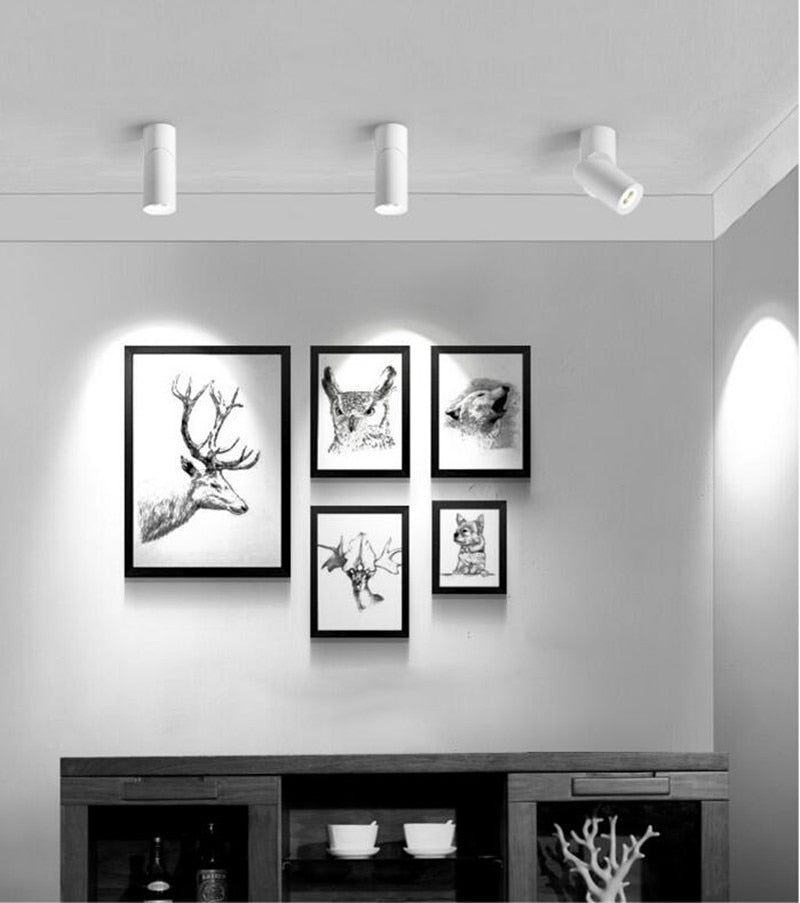 New Dimmable Rotating LED Downlights 10W 15W 20W COB LEDCeiling Spot Lights AC110-220V Warm Cold White Indoor Lighting