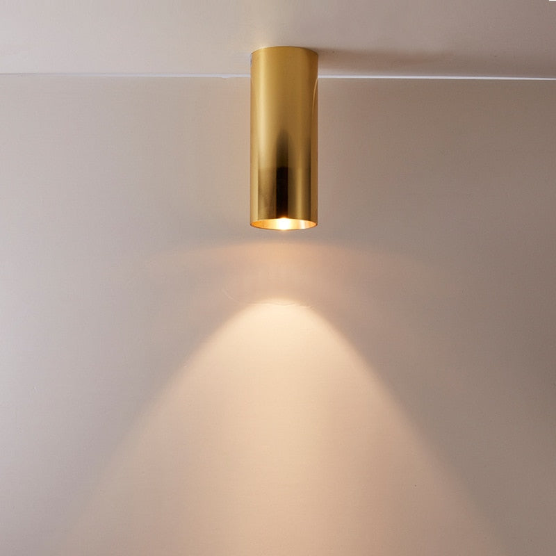 Nordic Gold LED Downlight Long Tube Surface Mounted Modern Aluminum Spotlight for Indoor Office Living Room Kitchen Ceiling Lamp