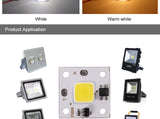 220V 110V Smart IC MINI LED COB Chip 10W White Warm White No Need Driver LED Lamp for Flood Light Spotlight Downlight Lighting