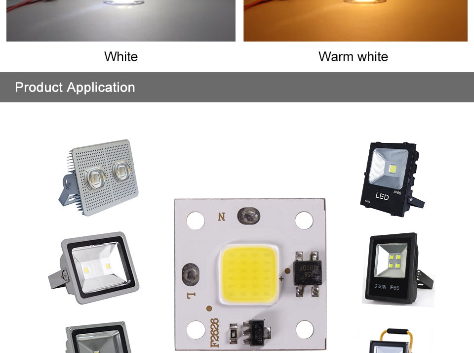 220V 110V Smart IC MINI LED COB Chip 10W White Warm White No Need Driver LED Lamp for Flood Light Spotlight Downlight Lighting