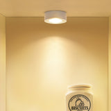 LED Spotlight Ultra-Thin 3W/5W/10W Ceiling Downlight Surface Mount Spot Lamp for Bedroom Kitchen Indoor Home Shop Display Lights