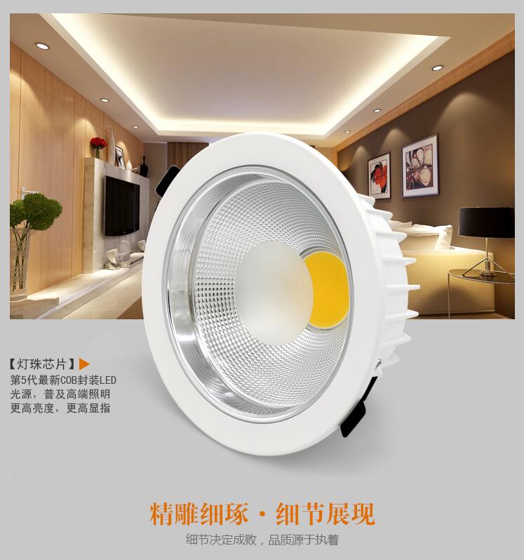 Dimmable LED Downlights 20W 30W 40W 50W 60W COB LED Recessed Ceiling Lamp Warm Cool White LED Spot Light