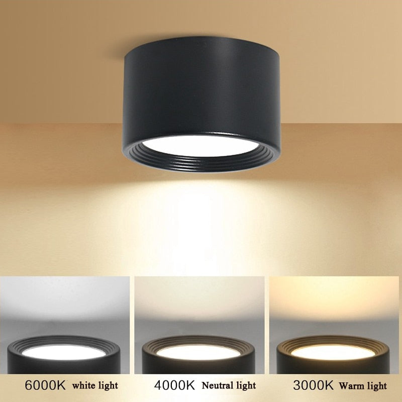 LED Downlight Surface Mounted Ceiling light No opening 5W 7W 9W 12W 15W modern Led ceiling light spotlight interior Lighting lamps