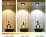 Dimmable Square led downlight 6w 10w 14w 12V 220V recessed cabinet bulb square spotlight ceiling led driver for home decoration