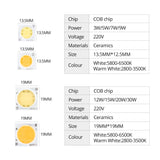 Samrt IC Ceramics LED Chip Lamp 3W 5W 7W 9W 12W 15W 20W 30W 220V COB LED Matrix Diode Array Floodlight Spotlight Downlight Bulb