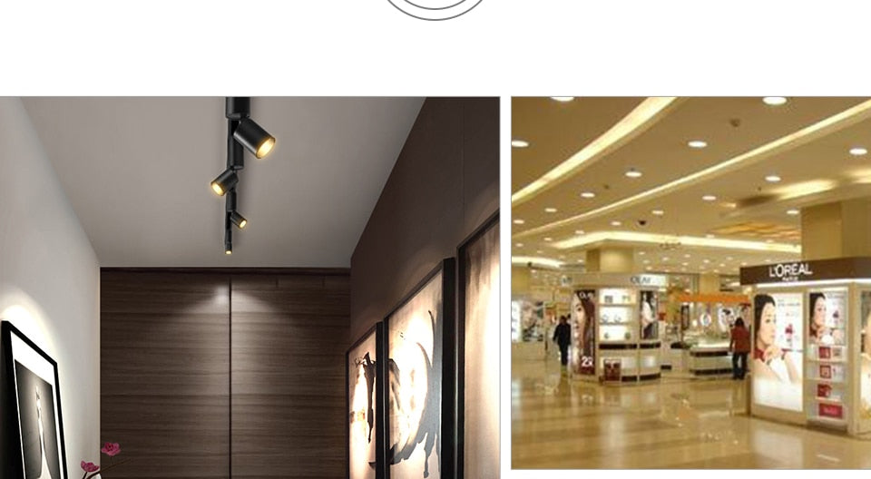 Samrt IC Ceramics LED Chip Lamp 3W 5W 7W 9W 12W 15W 20W 30W 220V COB LED Matrix Diode Array Floodlight Spotlight Downlight Bulb