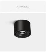 Foldable and Rotating Recessed LED Downlight 9W COB Ceiling Spot Light 12W Dimmable 110V 220V 15W Warm White For Living Room