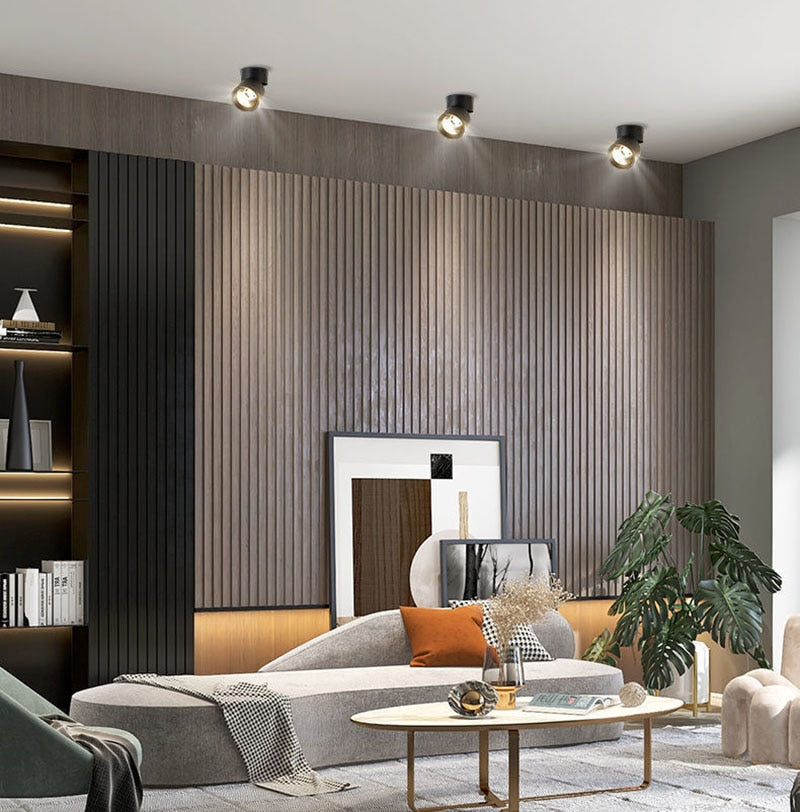 Modern Simple Black and White LED downlight Aluminum small spot led light fixture 10W 20W shop &amp;amp; store home decor ceiling light