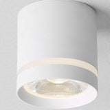 Dimmable LED downlight COB spotlight AC85-265V 7W 1W 12W 15W adjustable angle aluminum surface mounted light indoor lighting