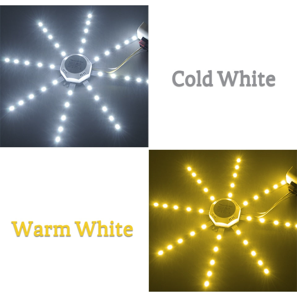 Led Downlight Accessory Octopus Magnetic plate Ring Light Led Lamp 12W 16W 20W 24W 220V For Ceiling Lamp Absorb dome Replace