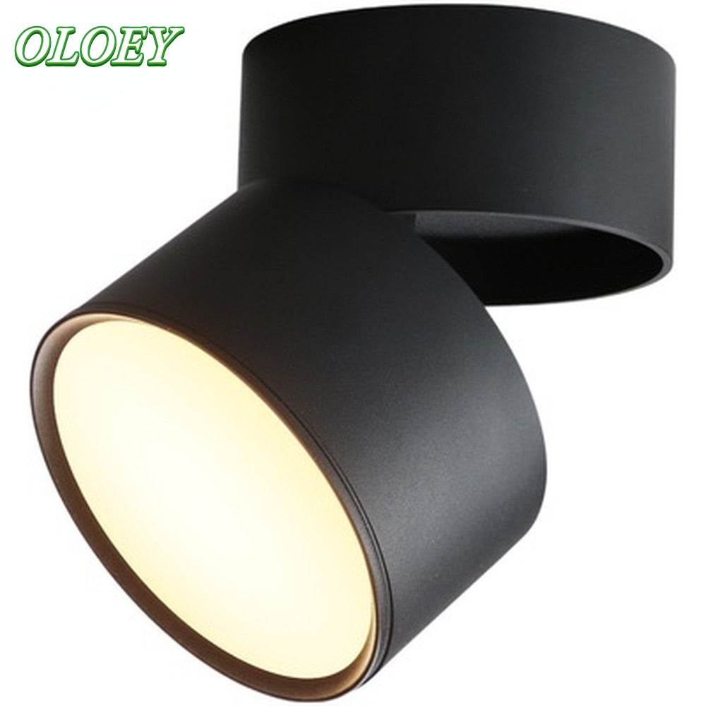 Downlights Led Dimmable 10W 15W 20W Crystal Led Downlight 12v Zigbee Downlight Type Fixtures SMD5730 Chip Indoor Lighting Lights