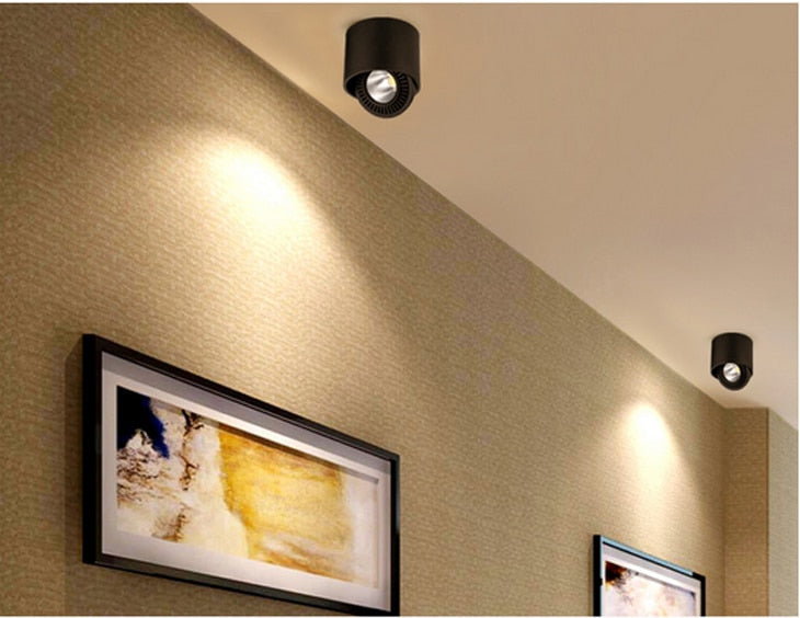 LED Surface Mounted Downlights 5W 7W 9W 15W LED Spot Light 360 Degree Rotating Dimmable Ceiling Lamp with LED Driver