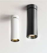 Surface Mounted LED Downlights Foldable 360° Rotatable COB LED Ceiling Spot lights 12W 15W 20W LED Lamps Background Wall Lighting