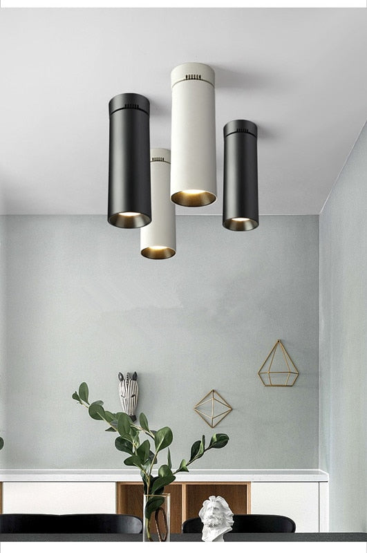 Surface Mounted LED Downlights Foldable 360° Rotatable COB LED Ceiling Spot lights 12W 15W 20W LED Lamps Background Wall Lighting