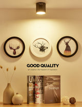 High quality Surface Mounted Dimmable Downlights 5W 7W 9W 12W 15W 18W LED Ceiling lamp COB Ceiling Spot lights ac85-265V LED light