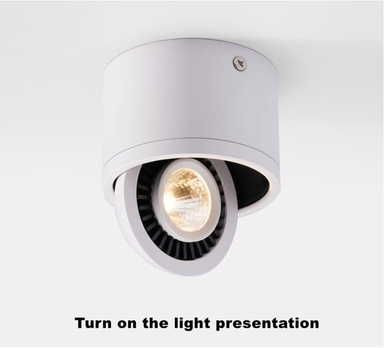 ACETIDE Dimmable Surface Mounted LED COB Downlight 5W/7W/9W/12W LED Lamp AC85V-265V Ceiling Spot Light with LED Driver