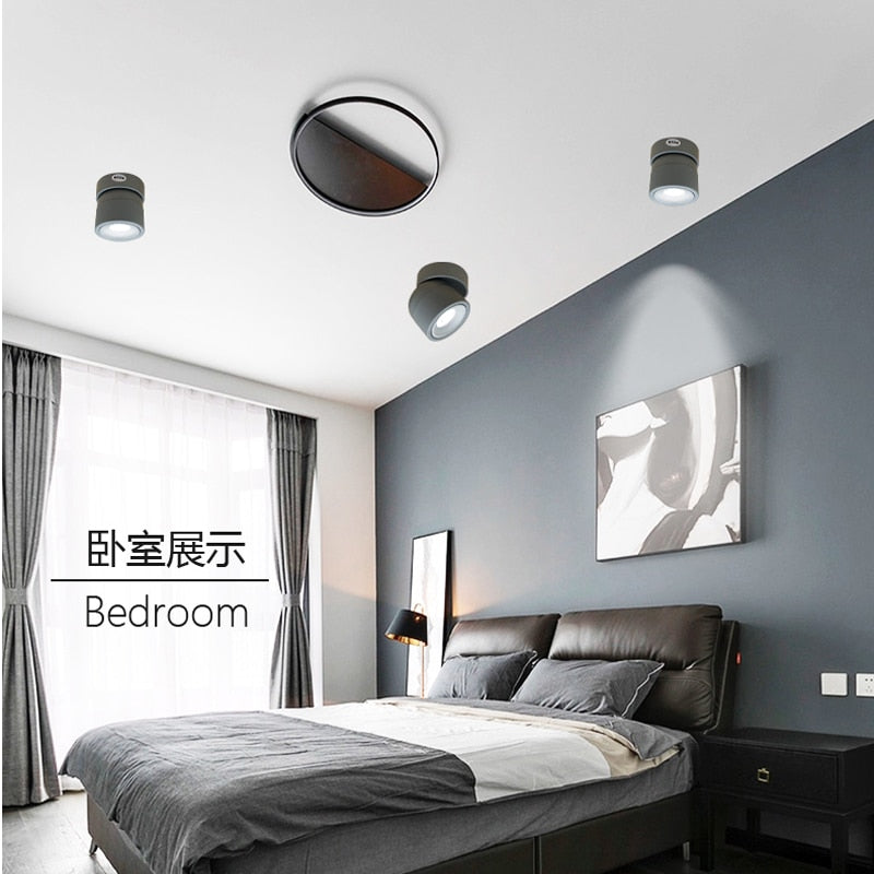 LED Downlight dimmable 10W modern Led surface mounted ceiling light spotlight interior Marca dragon Adjustable Angle