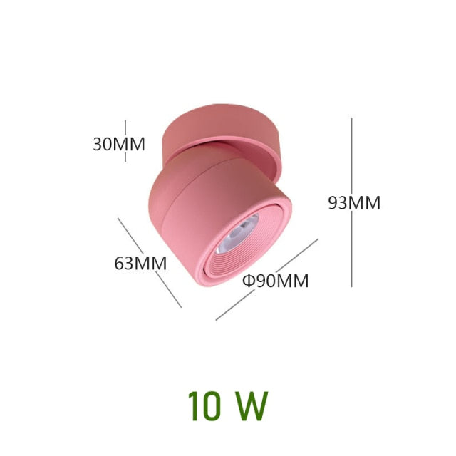 LED Downlight dimmable 10W modern Led surface mounted ceiling light spotlight interior Marca dragon Adjustable Angle