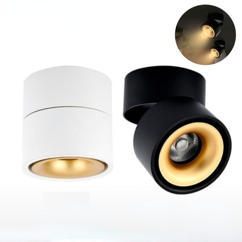 LED Dimmable Downlight  10W 12W 20W 24W 30W 36W LED Surface Mounted Spotlight LED Ceiling Lamp  Lamps for Living Room