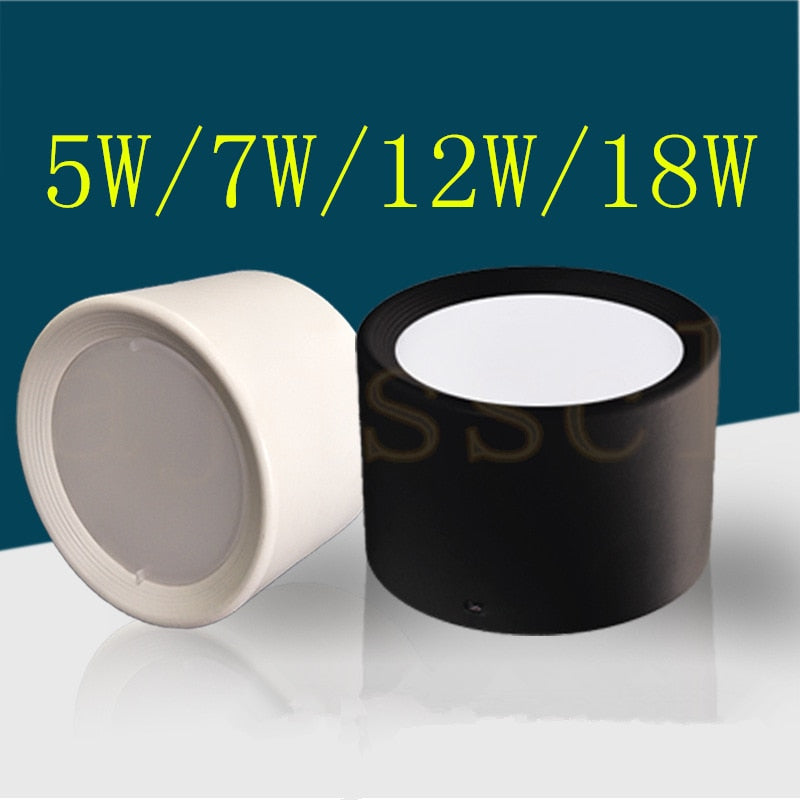 LED Ceiling Surface Mounted Downlight SMD5730 5W 7W 12W 18W AC85-265V 110V/220V lamp Led downlights Ceiling Spot light