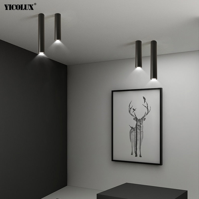 Simple New Modern LED Ceiling Lights Living Study Room Bedroom Aisle Cloakroom Indoor Lighting  Downlight Dimmable Remote Lamps